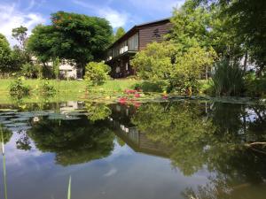 green forest villa