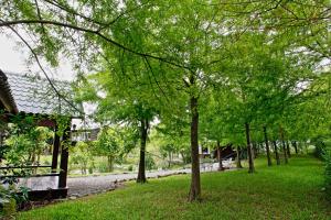 green forest villa