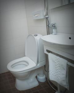 hotel golden dome iisalmi