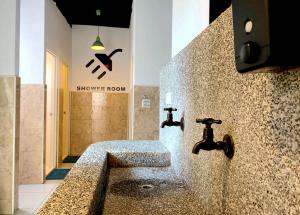 backpacker 41 hostel taichung