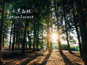 backpacker 41 hostel taichung