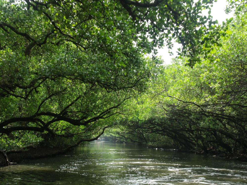 m garden business hotel