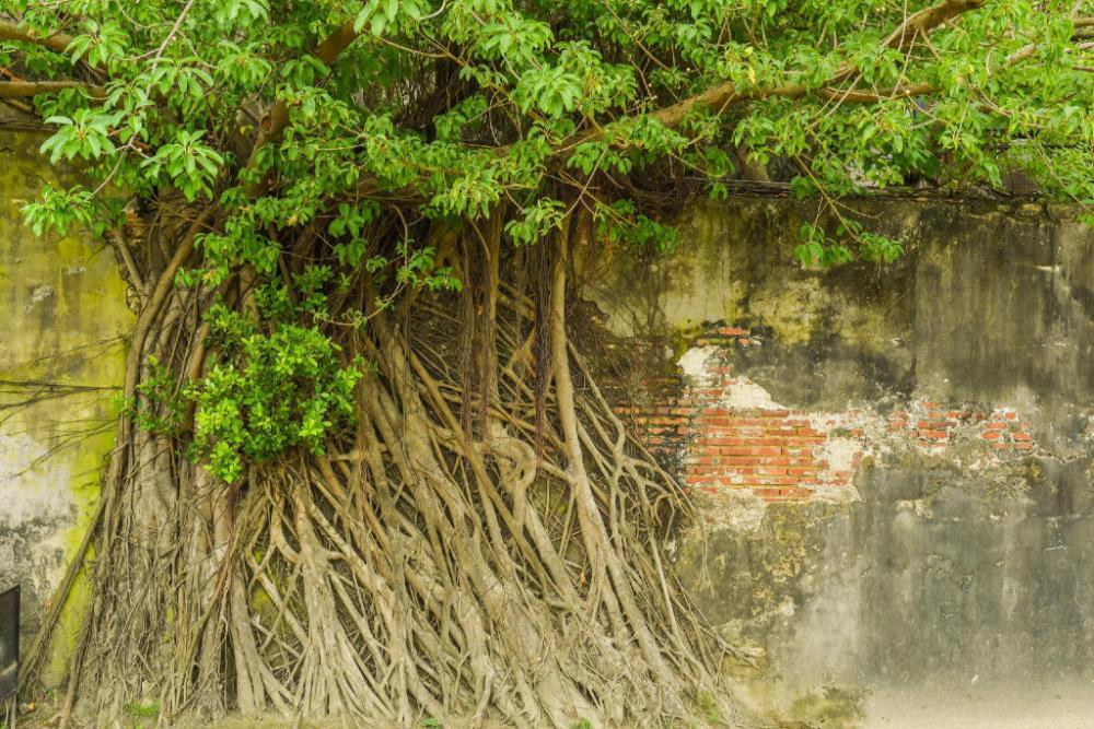 m garden business hotel