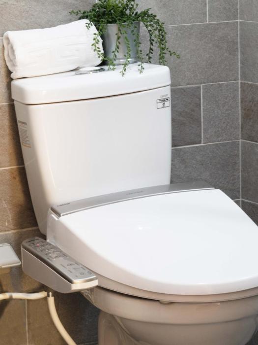 hotel brown chihkan branch