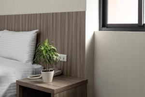 hotel brown chihkan branch