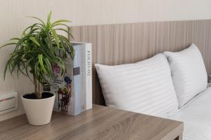 hotel brown chihkan branch