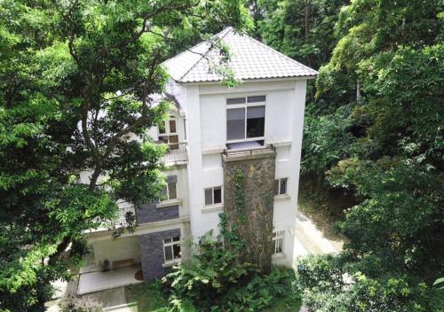 reindeer miaoli green wave