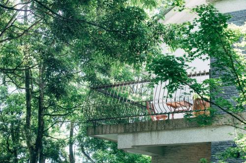 reindeer miaoli green wave