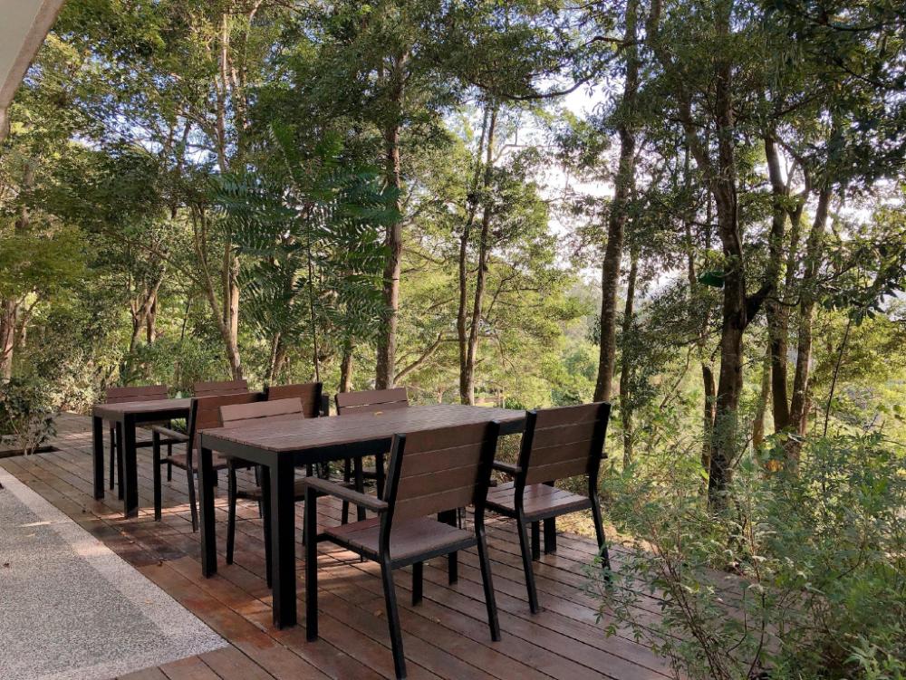 reindeer miaoli green wave