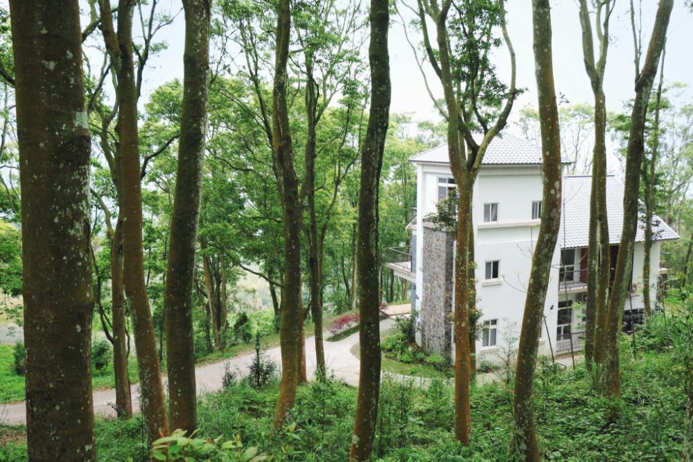 reindeer miaoli green wave