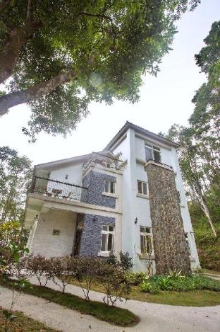 reindeer miaoli green wave