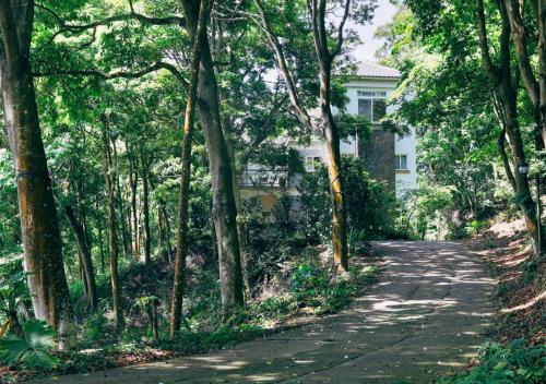 reindeer miaoli green wave