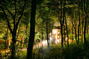 reindeer miaoli green wave