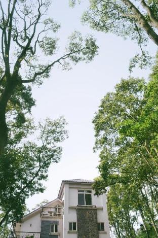 reindeer miaoli green wave