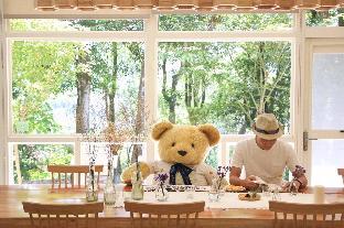 reindeer miaoli green wave