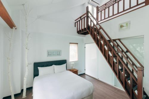 reindeer miaoli green wave