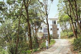 reindeer miaoli green wave