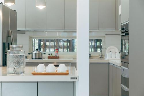 reindeer miaoli green wave