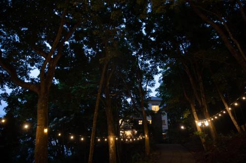 reindeer miaoli green wave