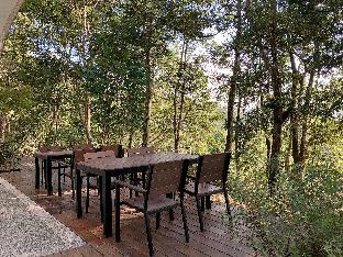 reindeer miaoli green wave