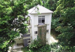 reindeer miaoli green wave