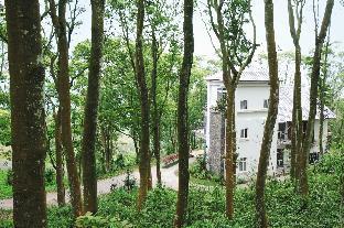 reindeer miaoli green wave