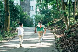 reindeer miaoli green wave