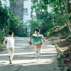 reindeer miaoli green wave