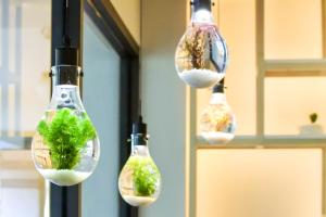 green hotel west district