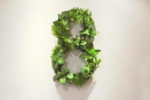 green hotel west district