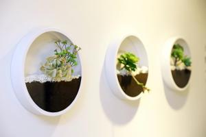 green hotel west district