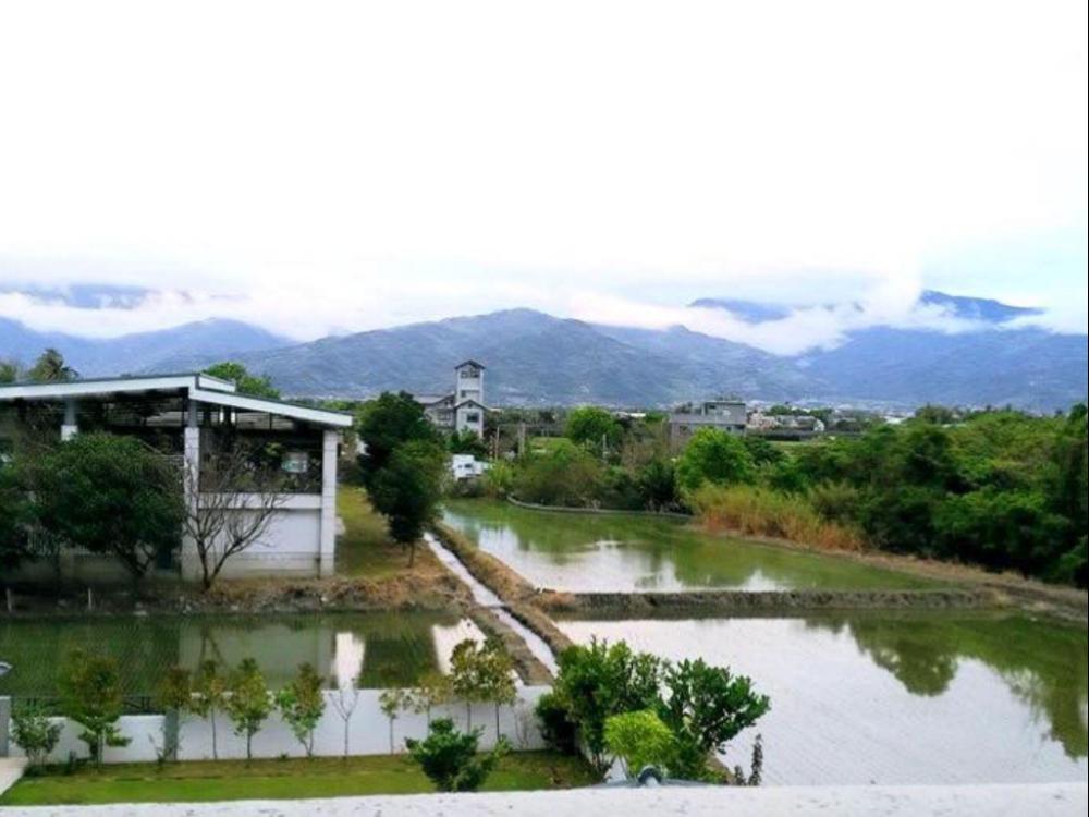 white pine village
