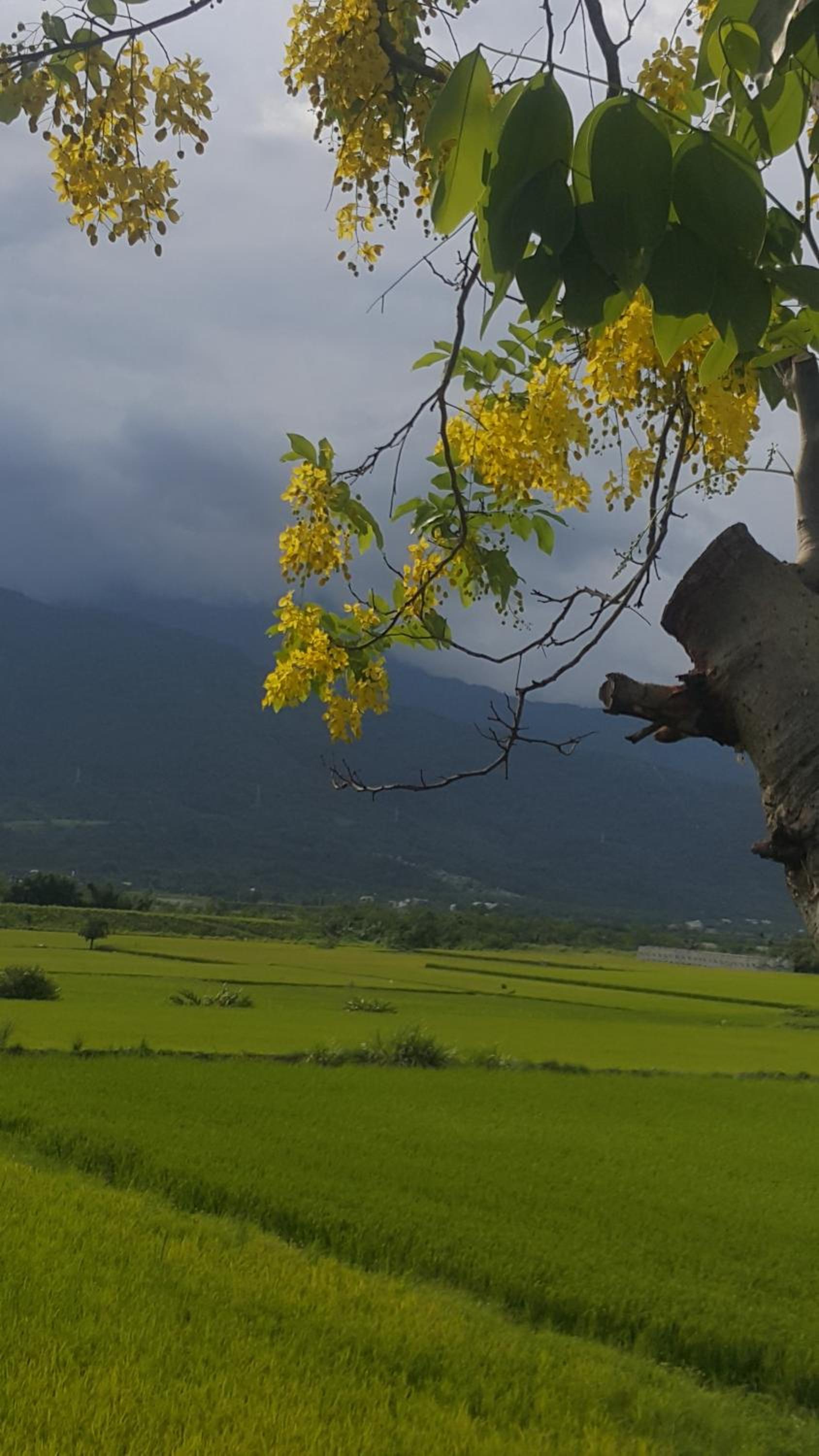 hualien