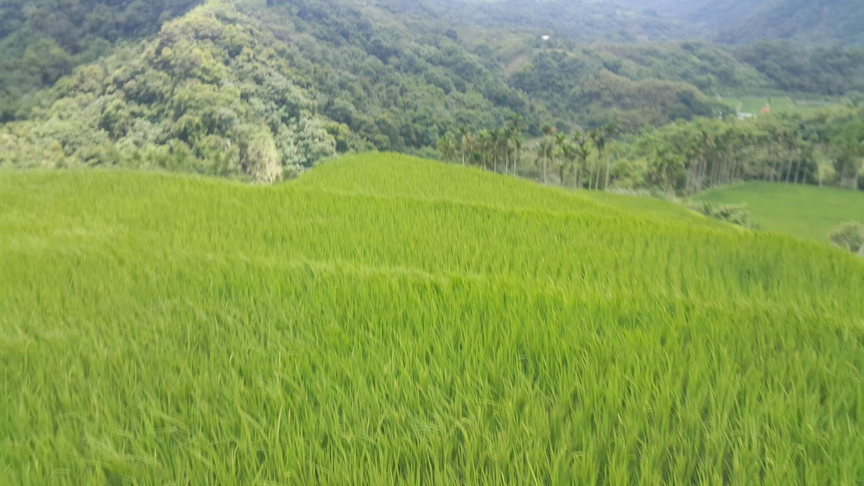 hualien