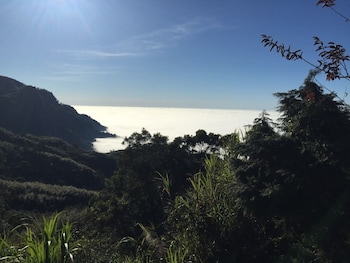 tea cloud guest house