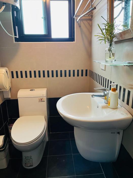 cat sky country homestay