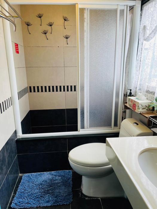 cat sky country homestay