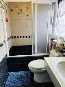 cat sky country homestay