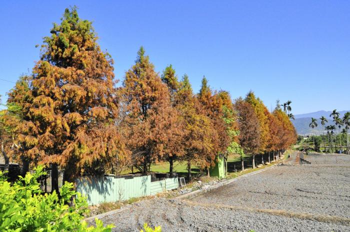 one city one vacation farm