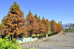 one city one vacation farm