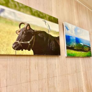 foung kou hotel