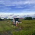 early summer