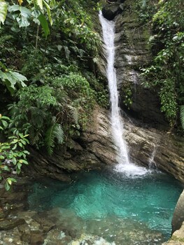 xiulin