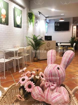 tourist bunny hostel