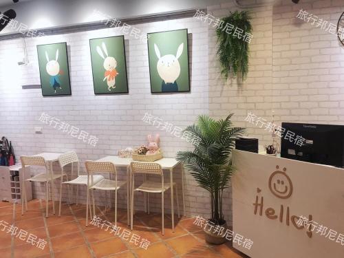 tourist bunny hostel
