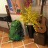 tourist bunny hostel