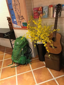 tourist bunny hostel
