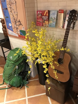 tourist bunny hostel