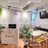 tourist bunny hostel