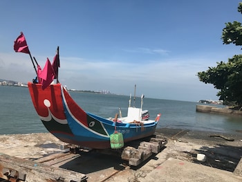 tourist bunny hostel